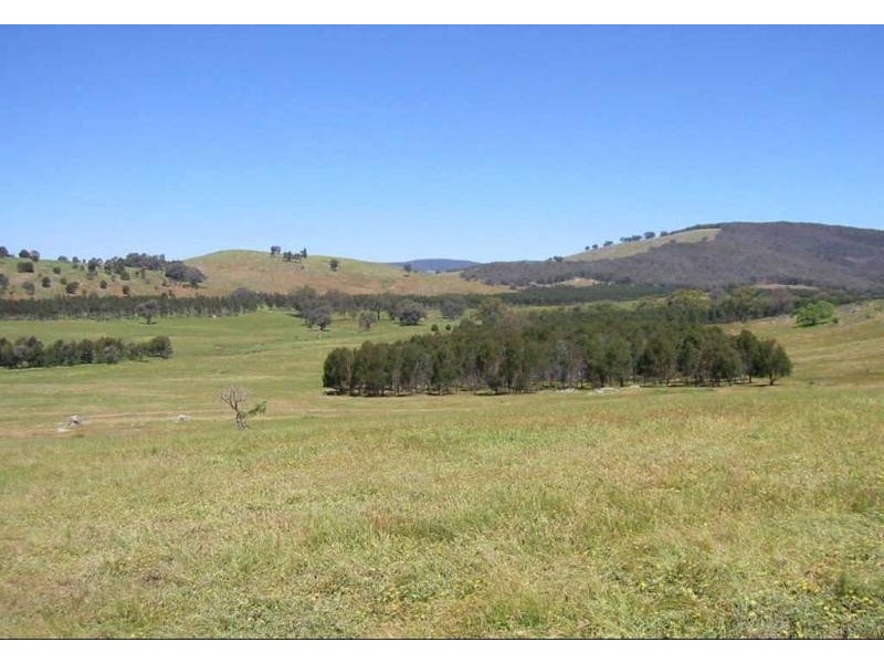 392 Warrenbayne west road, Violet Town VIC 3669