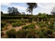 1711 Ruffy road, Ruffy VIC 3666