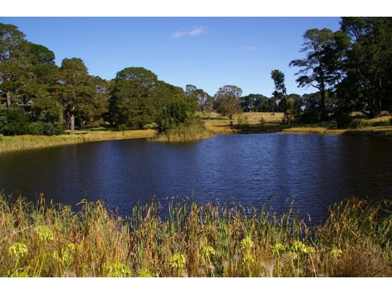 1711 Ruffy road, Ruffy VIC 3666