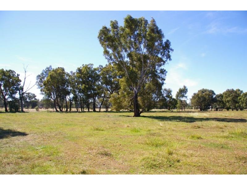 24 Lydiards road, Euroa VIC 3666