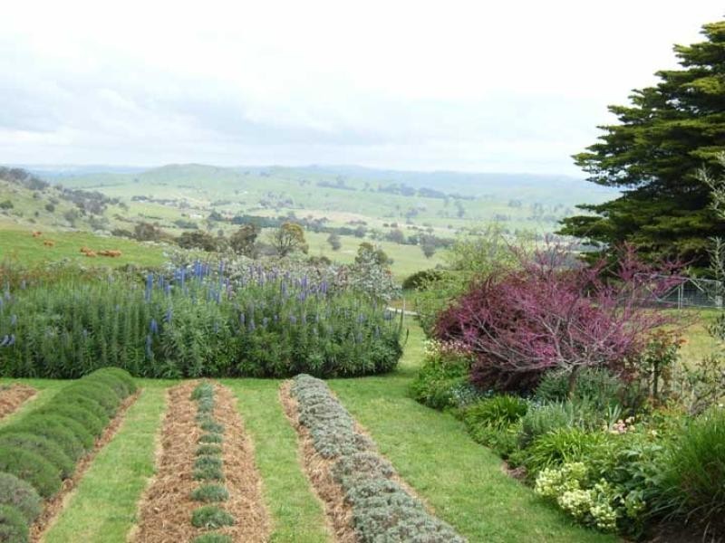 1647 Longwood Ruffy road, Ruffy VIC 3666