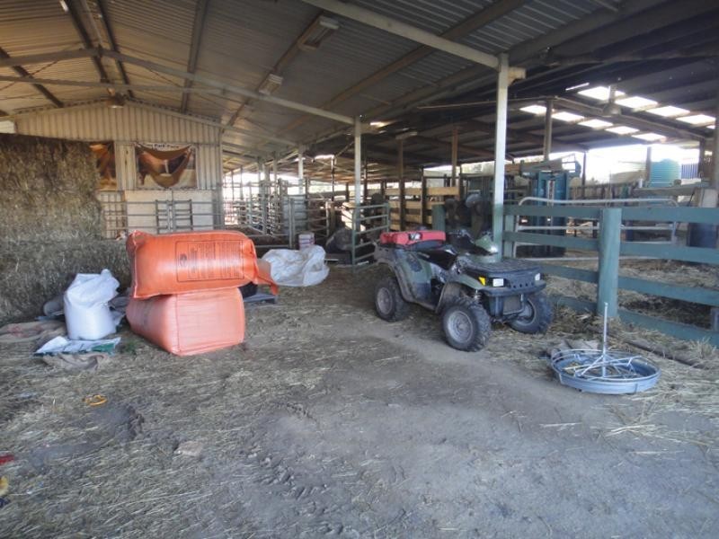 1647 Longwood Ruffy road, Ruffy VIC 3666