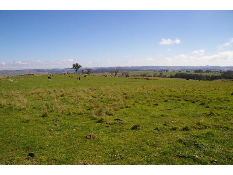 1647 Longwood Ruffy road, Ruffy VIC 3666
