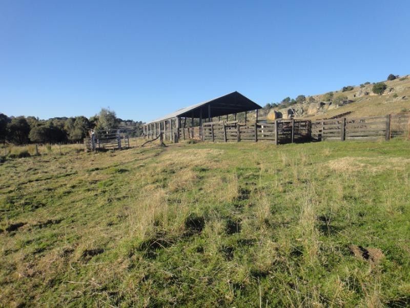 1647 Longwood Ruffy road, Ruffy VIC 3666