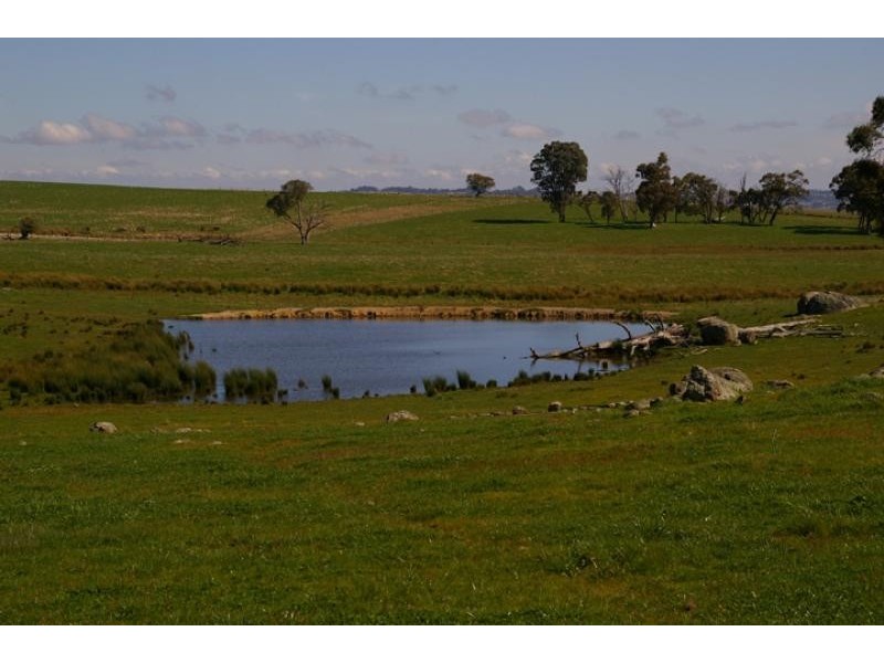 1647 Longwood Ruffy road, Ruffy VIC 3666