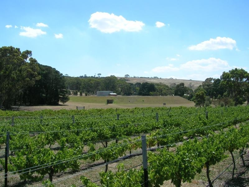 20 Staughton Vale  Road, Anakie VIC 3221