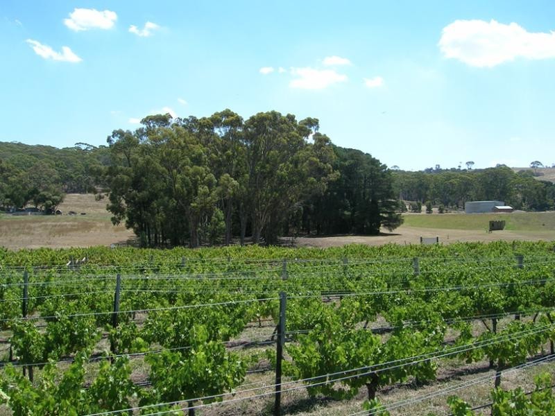 20 Staughton Vale  Road, Anakie VIC 3221