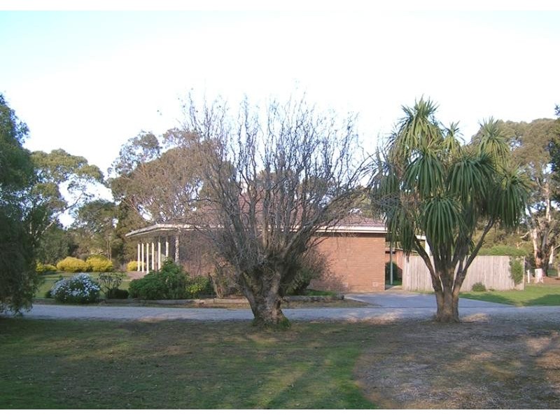 555 MT DUNEED ROAD, Freshwater Creek VIC 3216