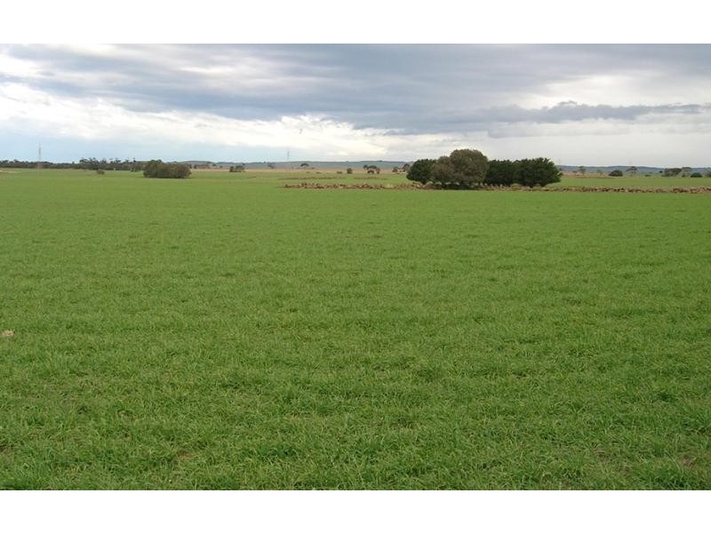 730 Fyansford Rd, Gheringhap VIC 3331