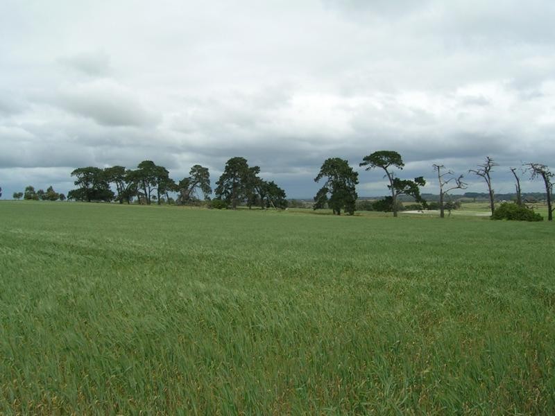 232 -298 Murradoc Road, Drysdale, Drysdale VIC 3222