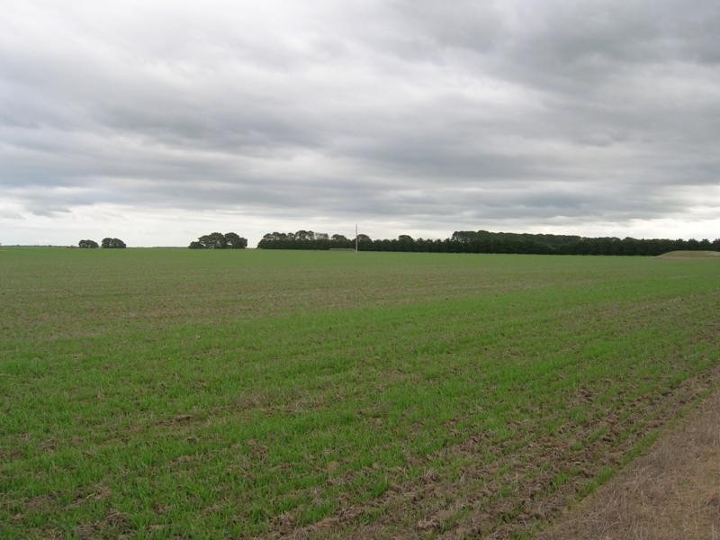 259 Barunah South Road, Wingeel, Wingeel VIC 3321