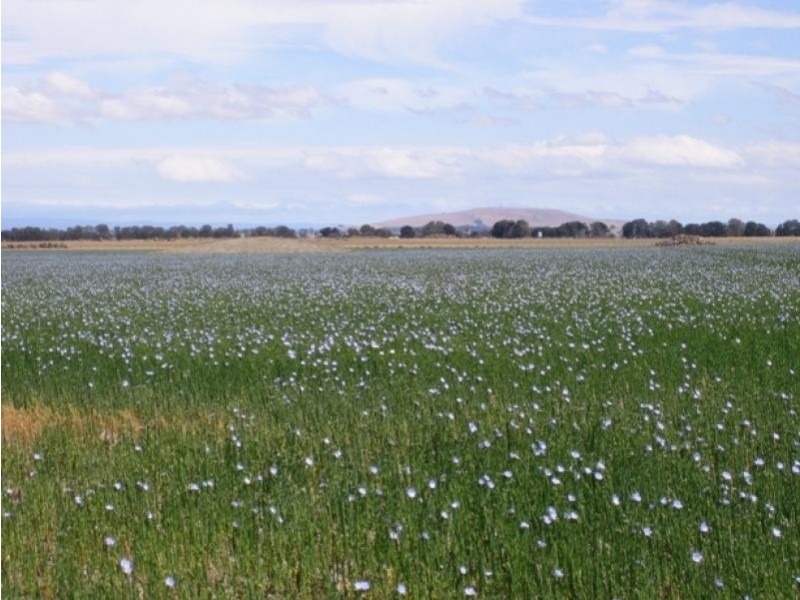 259 Barunah South Road, Wingeel, Wingeel VIC 3321