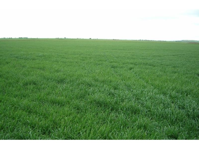 259 Barunah South Road, Wingeel, Wingeel VIC 3321