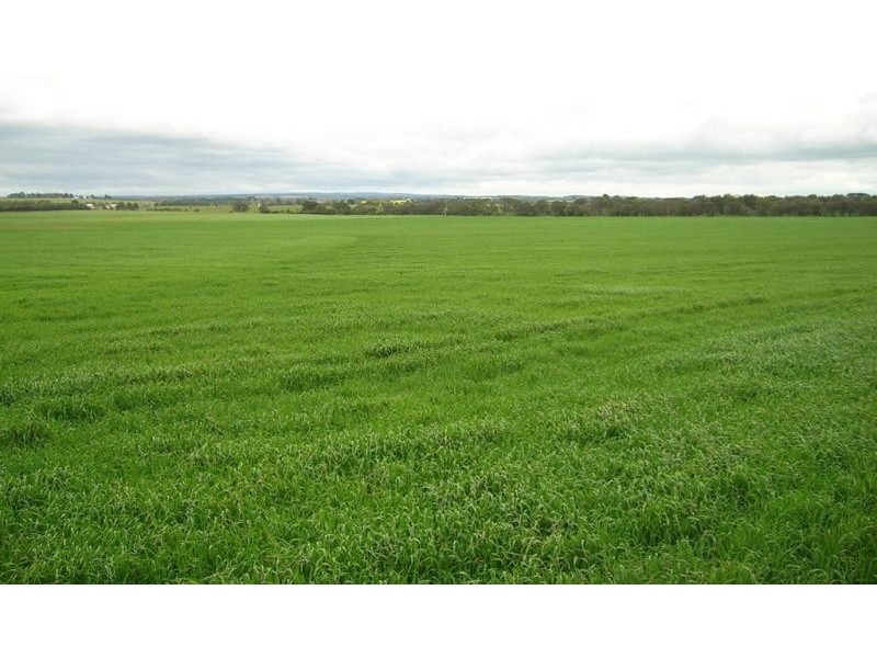 915 Dickins Road, Freshwater Creek VIC 3216