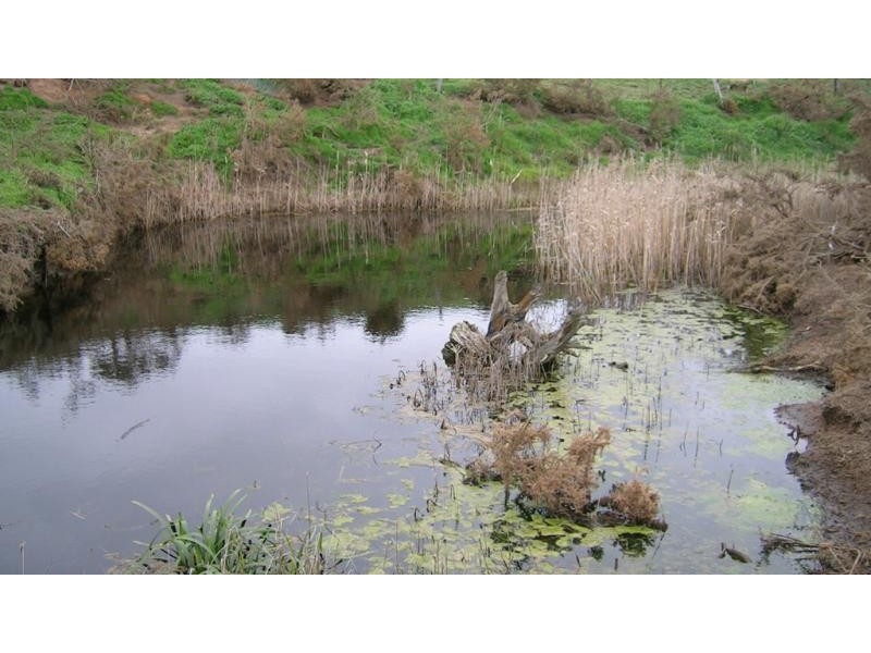 915 Dickins Road, Freshwater Creek VIC 3216