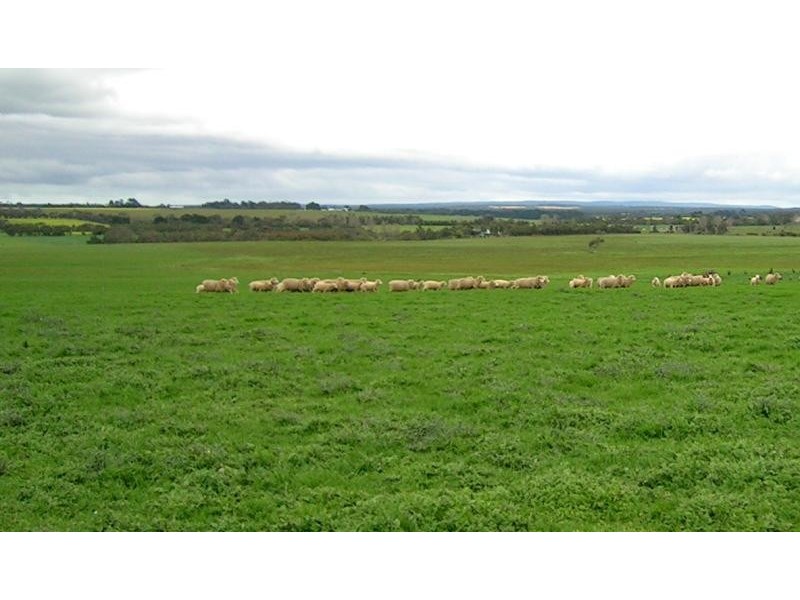 915 Dickins Road, Freshwater Creek VIC 3216