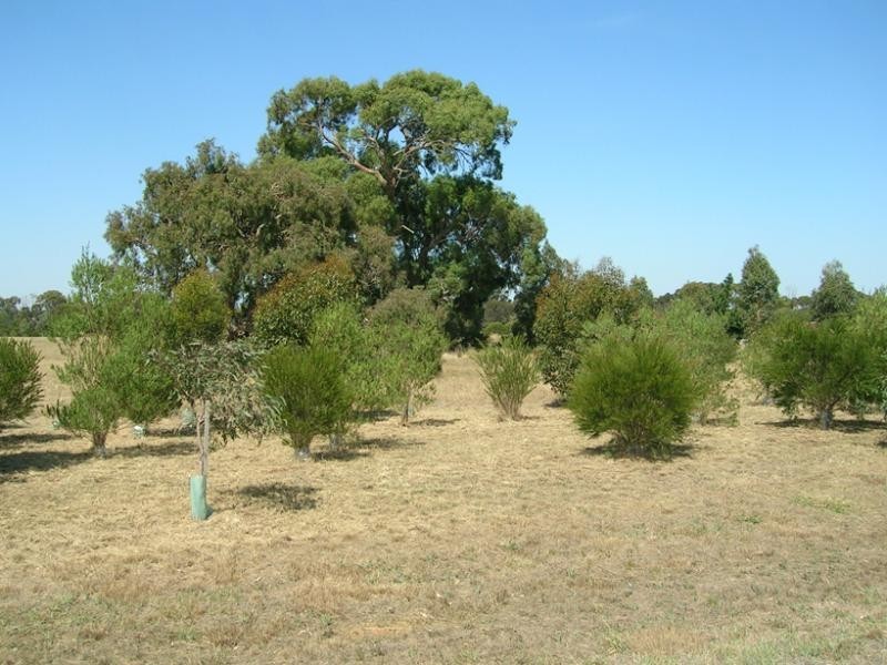 32 Marrabah Crescent, Teesdale VIC 3328