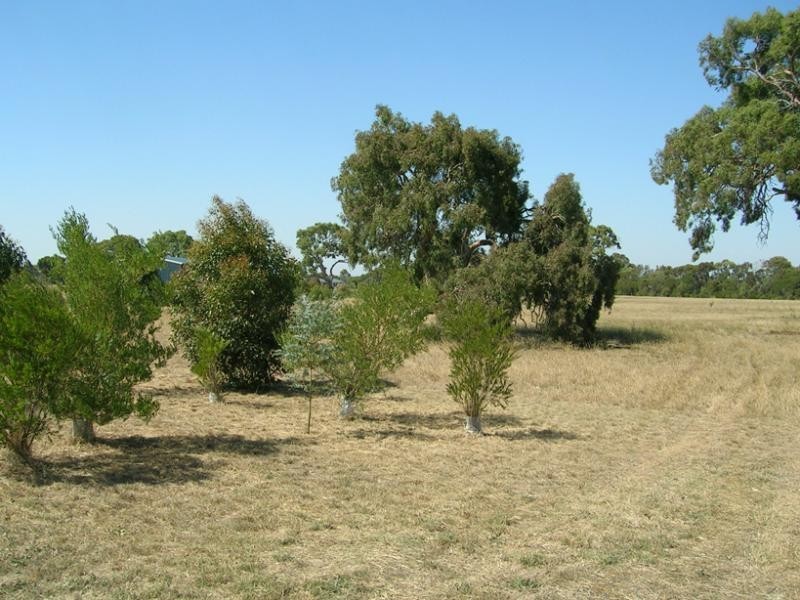 32 Marrabah Crescent, Teesdale VIC 3328