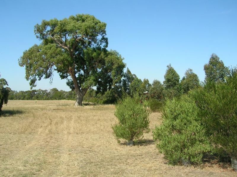 32 Marrabah Crescent, Teesdale VIC 3328