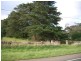 1240 Hamilton Highway, Stonehaven VIC 3221