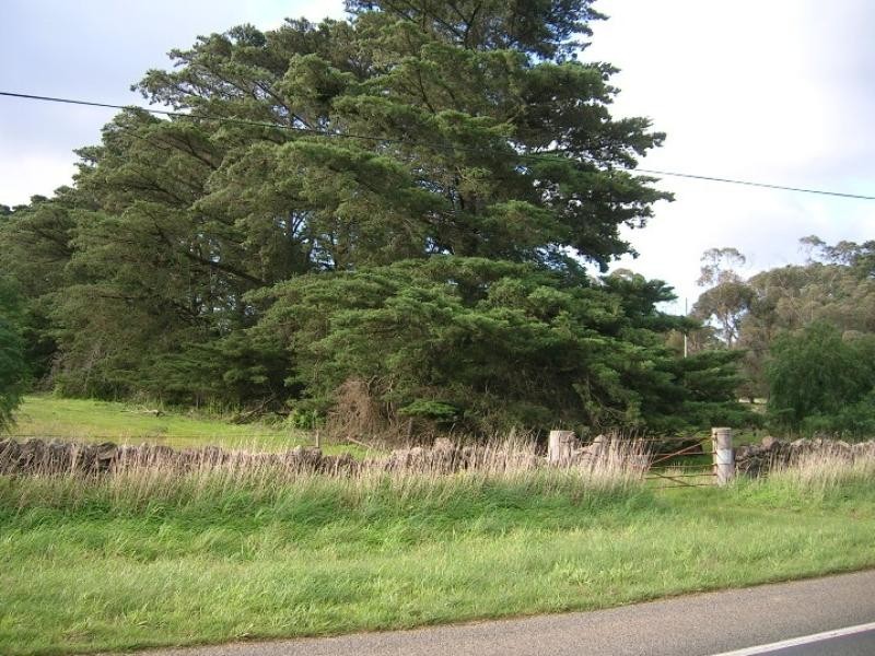 1240 Hamilton Highway, Stonehaven VIC 3221