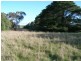 1240 Hamilton Highway, Stonehaven VIC 3221