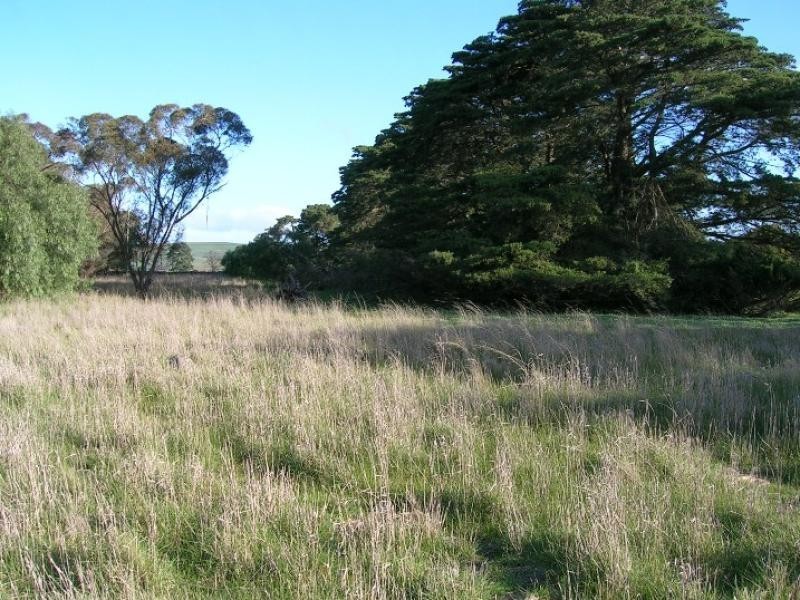1240 Hamilton Highway, Stonehaven VIC 3221