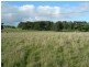 1240 Hamilton Highway, Stonehaven VIC 3221