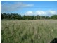 1240 Hamilton Highway, Stonehaven VIC 3221