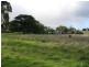 1240 Hamilton Highway, Stonehaven VIC 3221