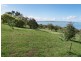31 The Avenue, Leopold VIC 3224