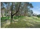 31 The Avenue, Leopold VIC 3224