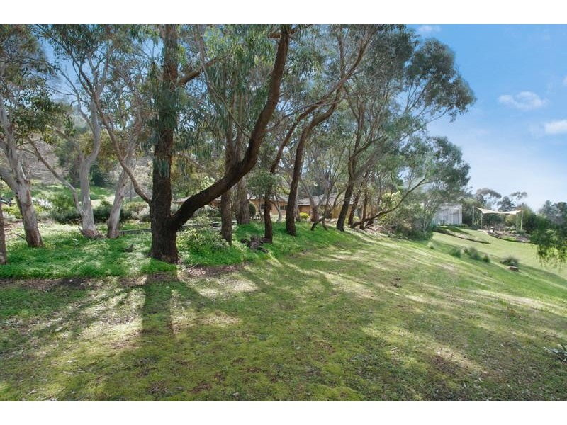 31 The Avenue, Leopold VIC 3224
