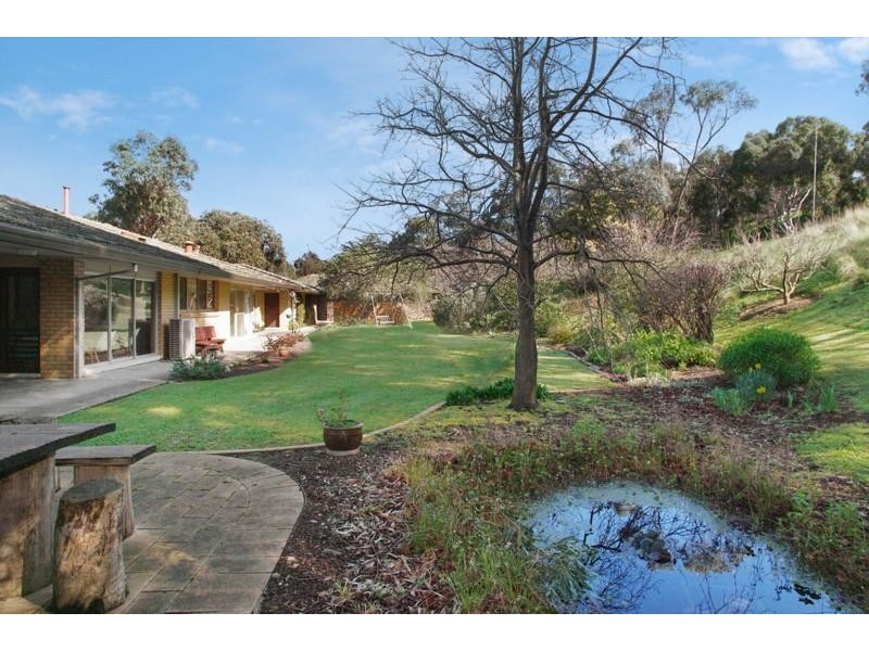 31 The Avenue, Leopold VIC 3224