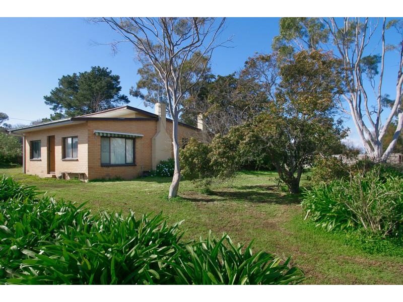 31 The Avenue, Leopold VIC 3224