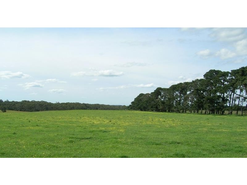 1180 Anglesea Road, Freshwater Creek VIC 3216