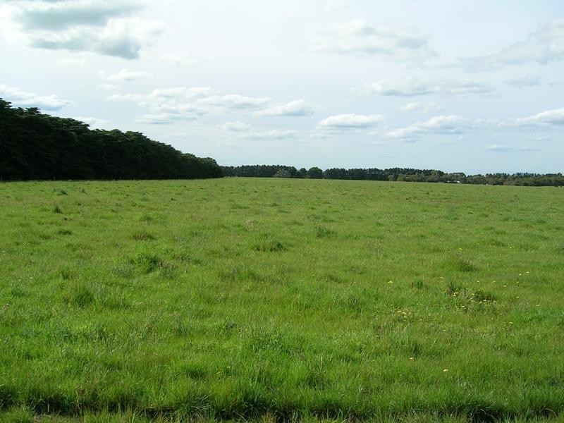 1180 Anglesea Road, Freshwater Creek VIC 3216