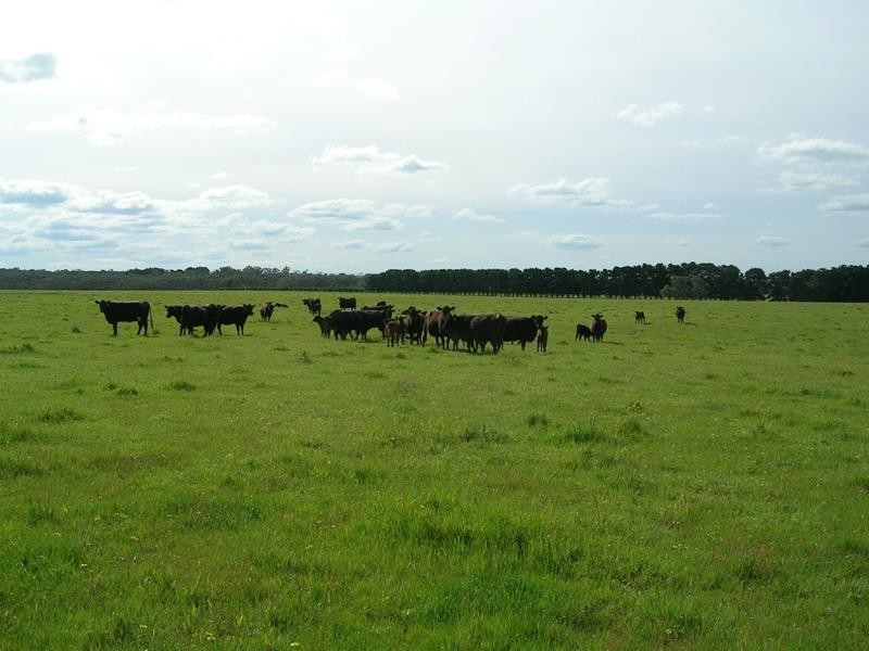 1180 Anglesea Road, Freshwater Creek VIC 3216