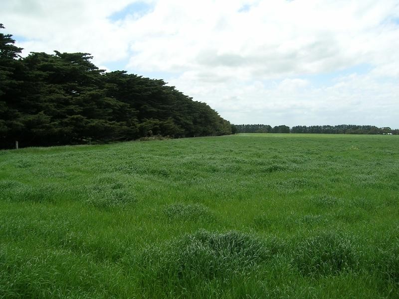 1180 Anglesea Road, Freshwater Creek VIC 3216