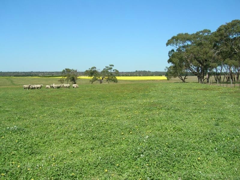 15 Grays Road, Paraparap VIC 3240