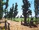 Mooroopna North VIC 3629