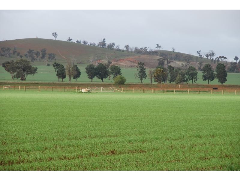 526 Lane Road, Katandra VIC 3634