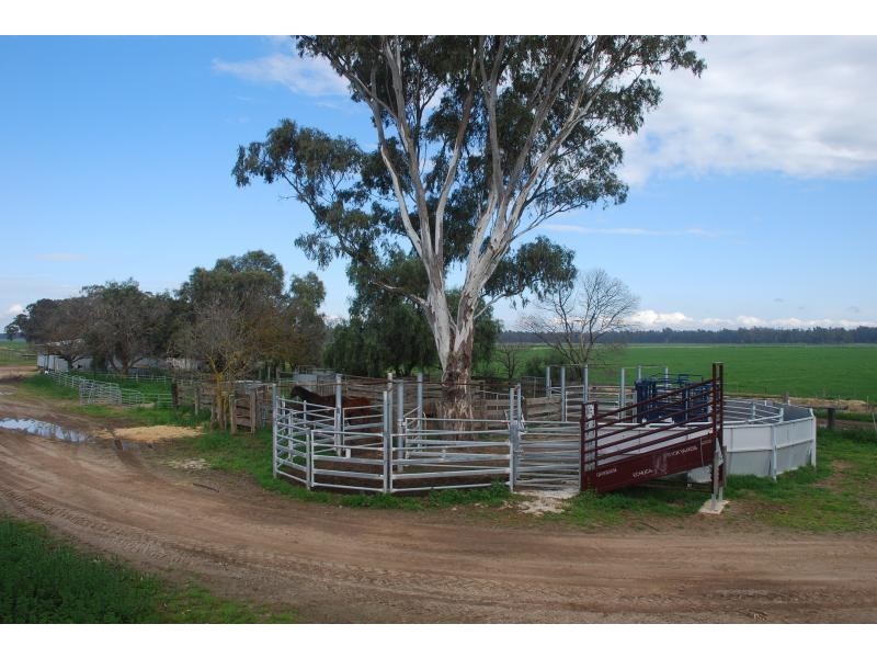 365 Pogues Road, Bunbartha VIC 3634