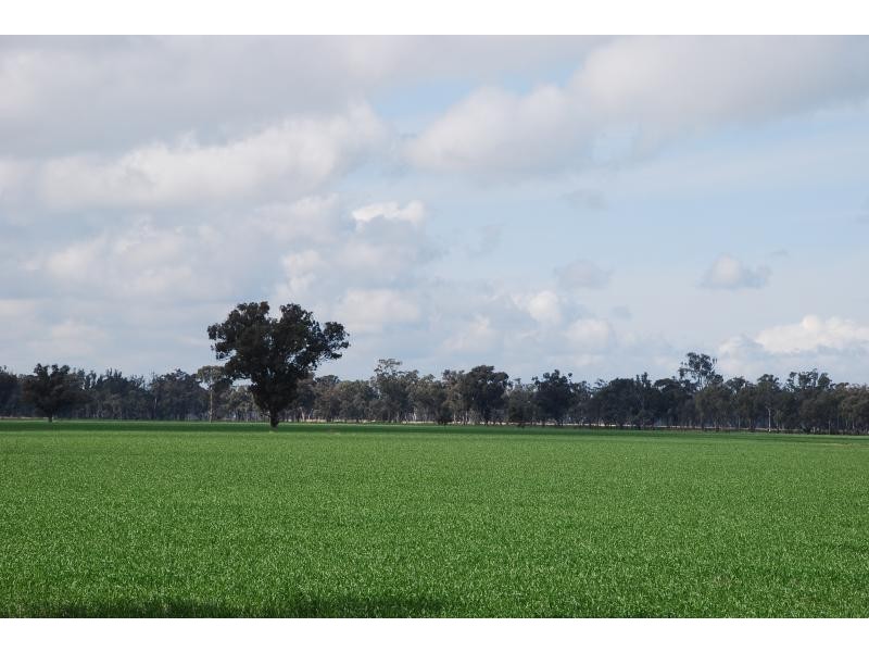 365 Pogues Road, Bunbartha VIC 3634