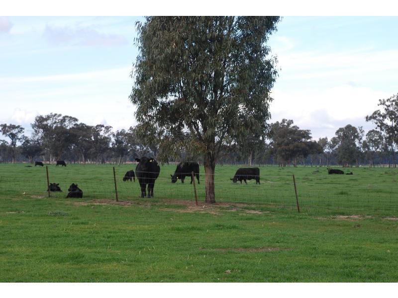 365 Pogues Road, Bunbartha VIC 3634