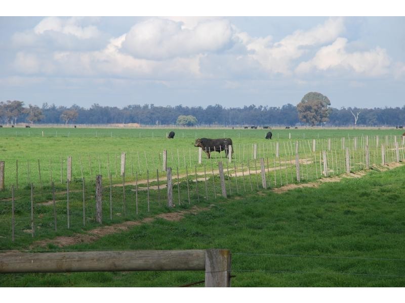 365 Pogues Road, Bunbartha VIC 3634