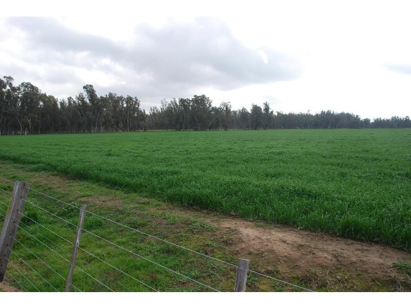 365 Pogues Road, Bunbartha VIC 3634