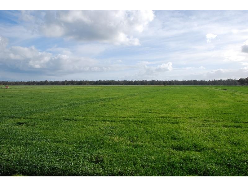 365 Pogues Road, Bunbartha VIC 3634