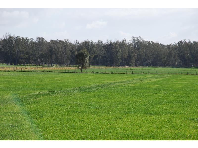 365 Pogues Road, Bunbartha VIC 3634