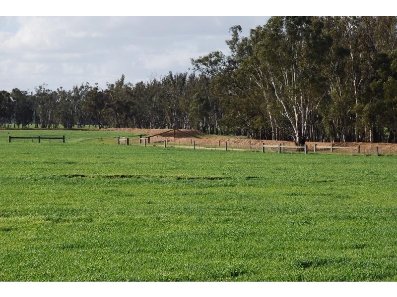 365 Pogues Road, Bunbartha VIC 3634